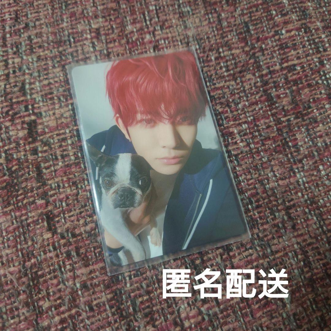 ENHYPEN 2025 アンケート トレカ ヒスン - メルカリ