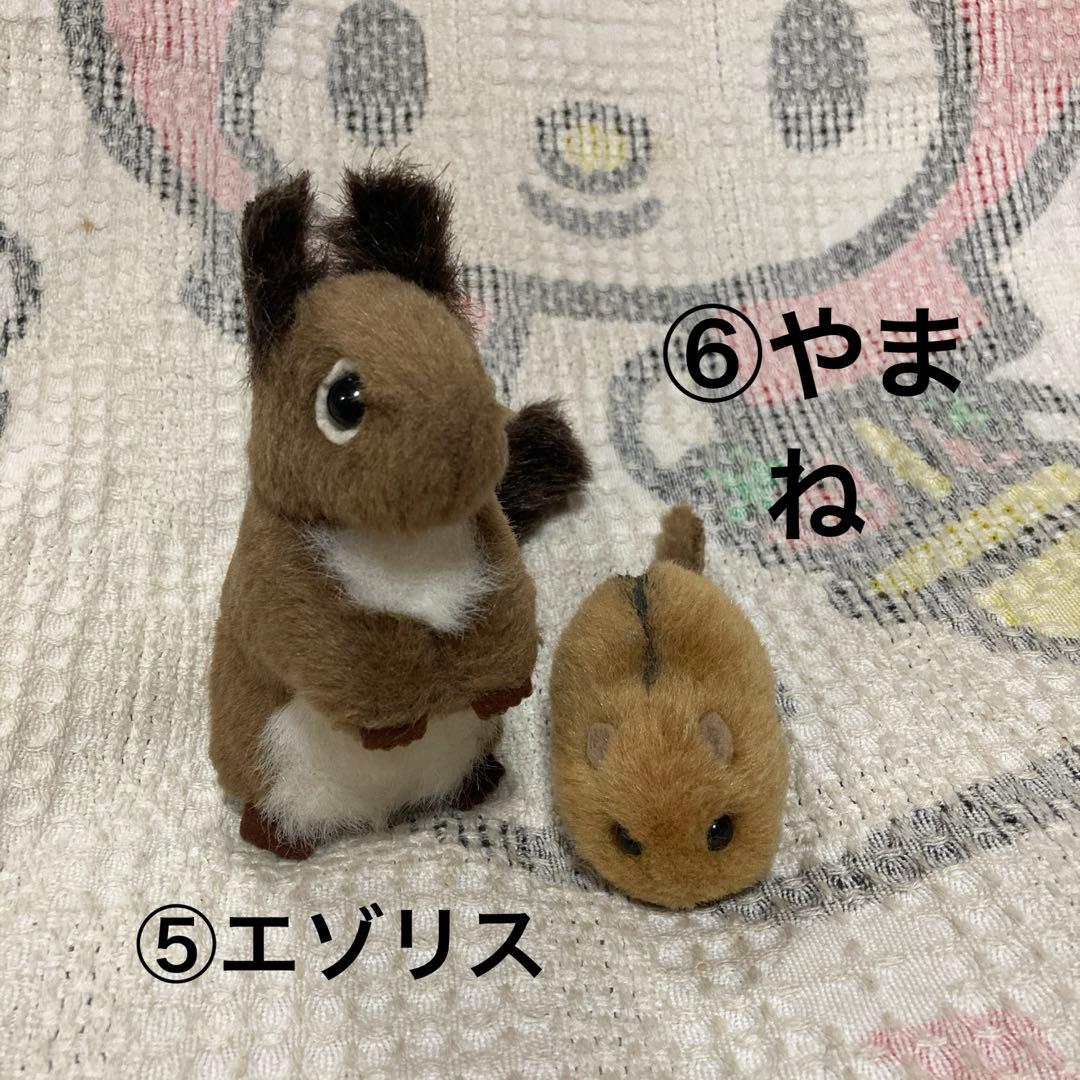 やまね工房 ぬいぐるみ 落合けいこ 6こセット 中古品 コノハズク他