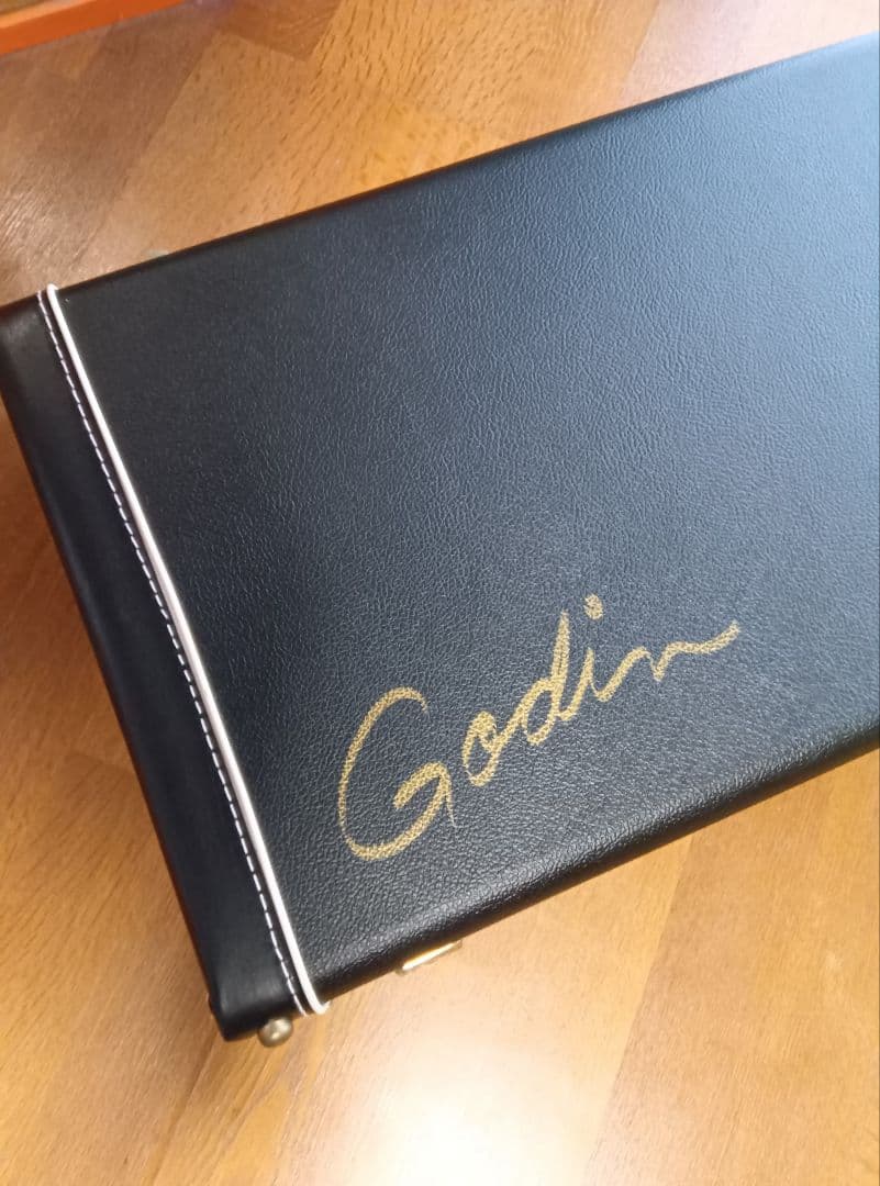 ゴダンギターケース