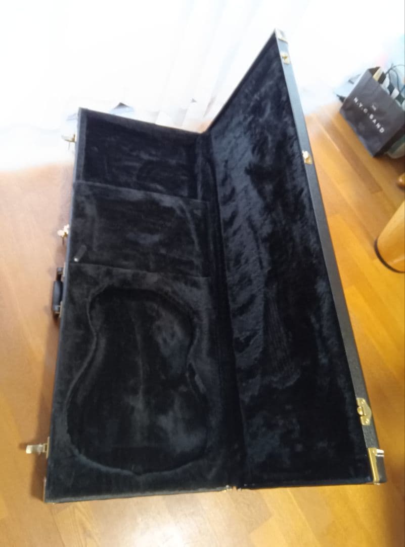 ゴダンギターケース