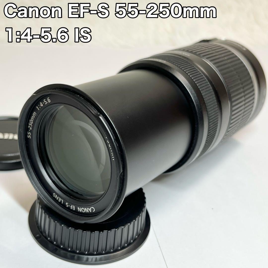 Canon レンズ EF-S 55-250mm 1:4-5.6 IS Canon EF-S 55-250mm f/4-5.6 IS STM Telephoto Zoom Lens with