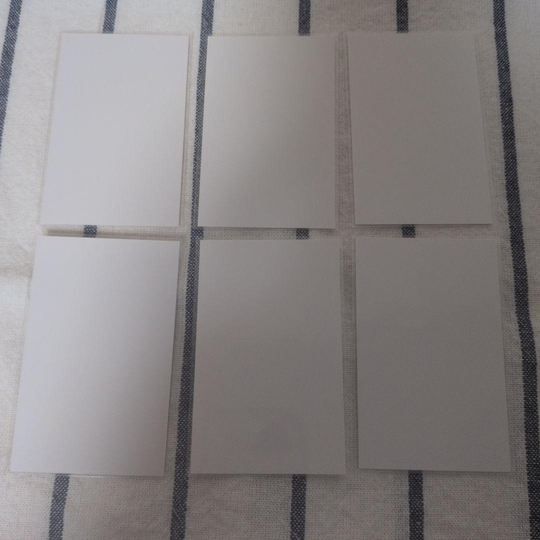 鬼滅の刃　チェキ風ブロマイド　不死川実弥