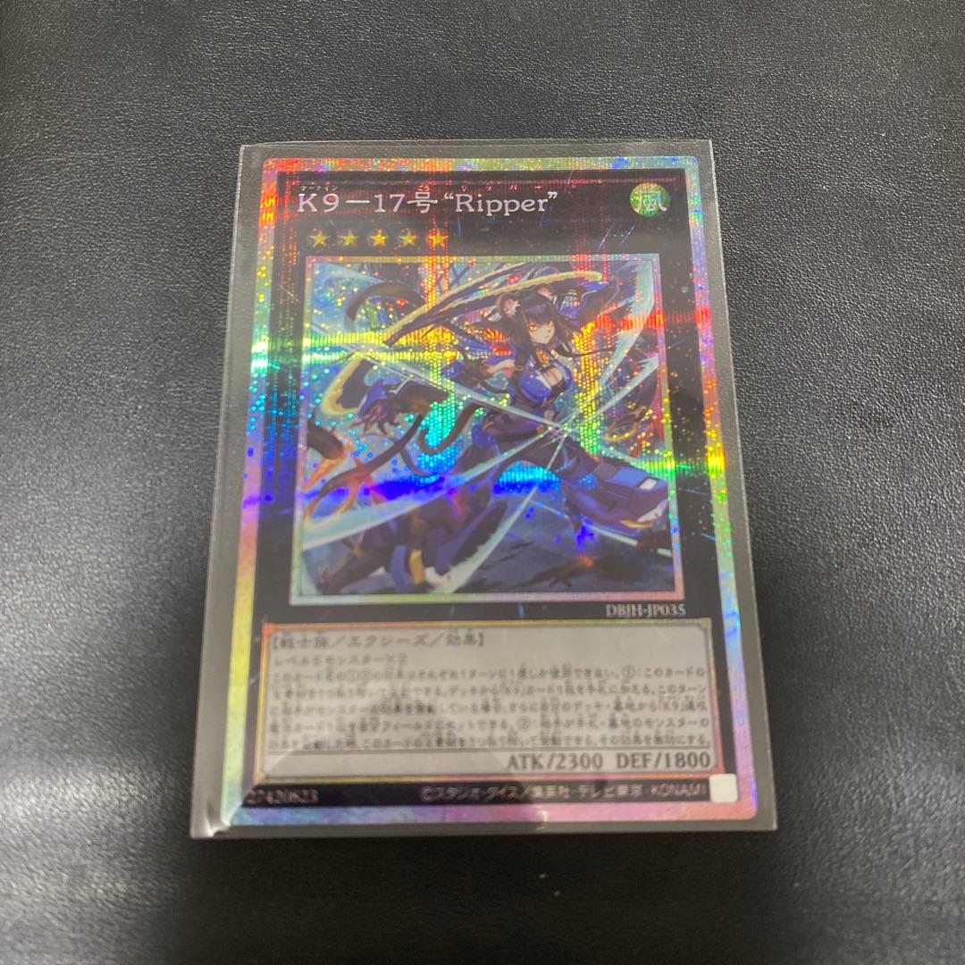 ダーク・ライフ夏祭り DXカードプロテクト スリーブ