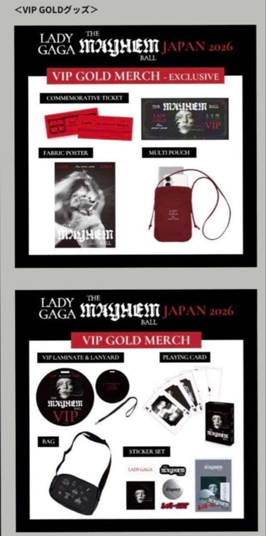 おまけ付き❗️Lady Gaga VIP Gold 特典限定グッズフルセット7点