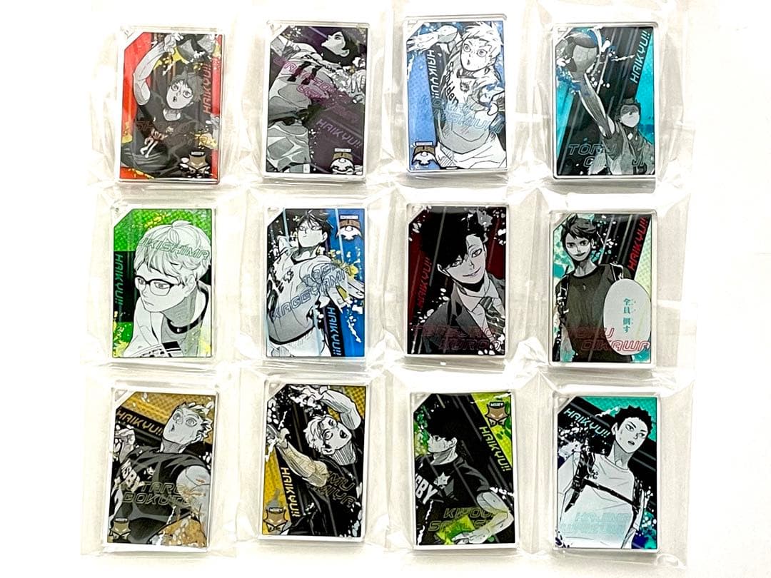 ハイキュー ドミノ風アクリルキーホルダー コンプリート ア