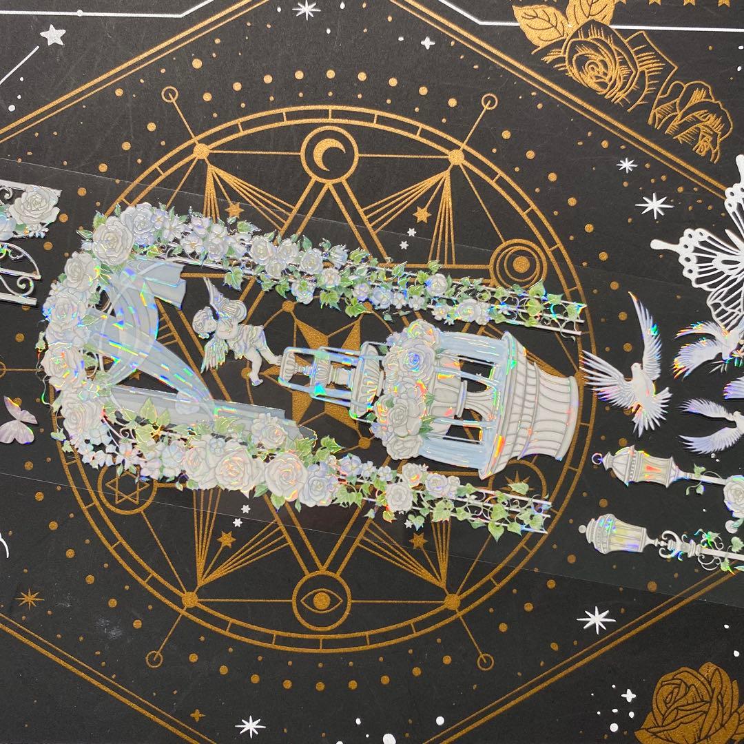 9189】海外 マステ中古巻 貝殻光マスキングテープ お花 ガーデン 残量多め