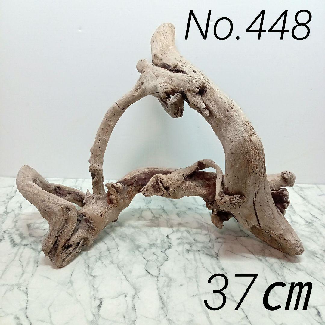 MTW-6351蔦流木1点物 アーチ流木 90cm水槽用流木 アクアリウム 流木販売