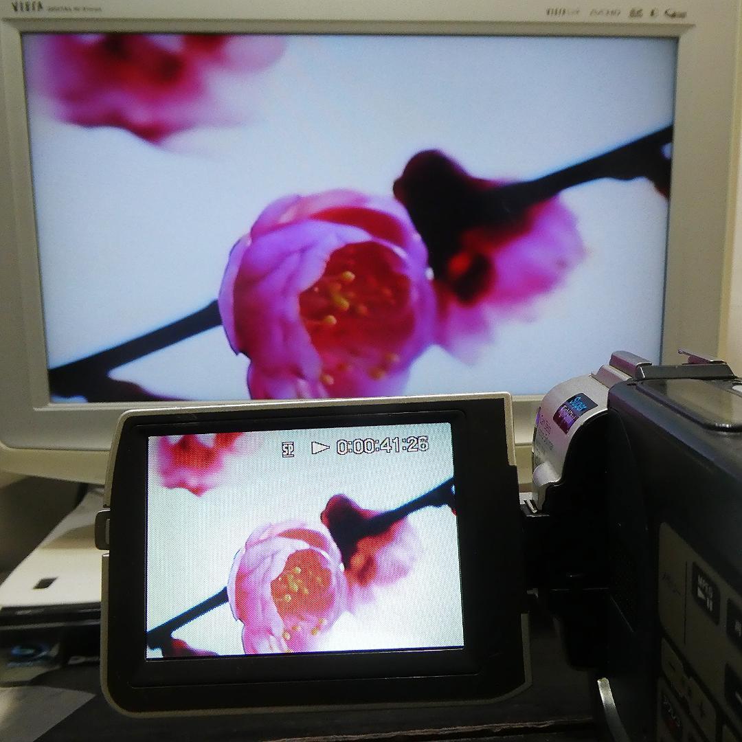 動作品ソニー DCR-TRV7 MiniDVビデオカメラ　DVDダビングに最適