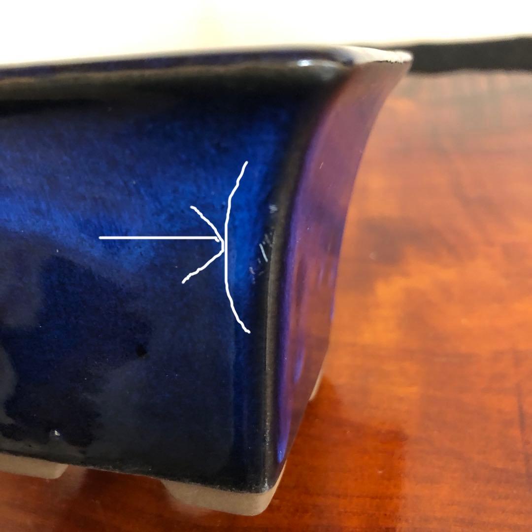 盆栽　山野草　サボテン　多肉植物鉢　4セット(11個)未使用品その他