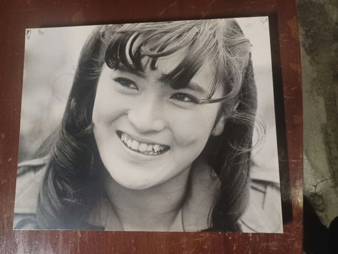 レア商品一点物　志穗美悦子白黒スチール写真非売品木製パネル(435×535) Lily No.6 – Wood Art HAS 木象嵌作家 蓮尾知子