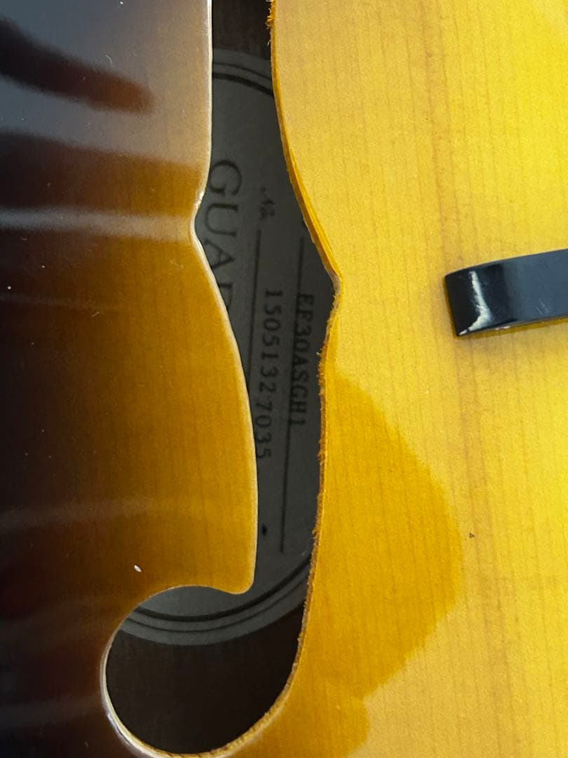 か*ま様 Epiphone EF30ASGH1 マンドリン ケース付