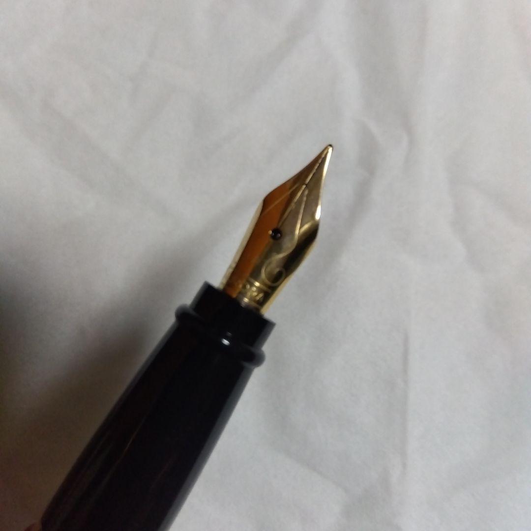 apollosさま】AURORA 万年筆 【専用ケース付き】 aurora 万年筆