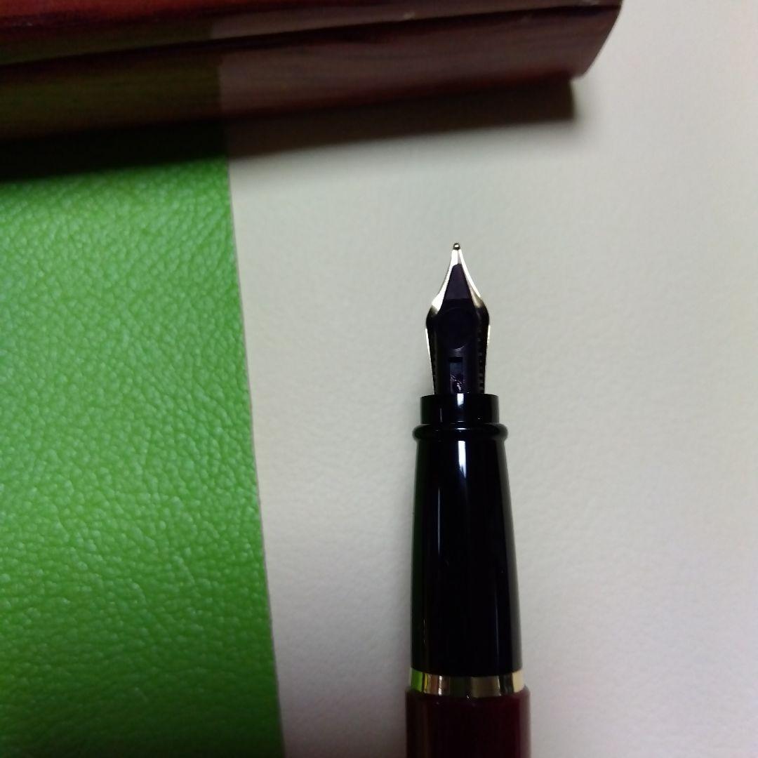 apollosさま】AURORA 万年筆 【専用ケース付き】 AURORA - AURORA