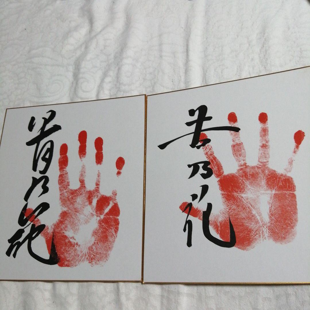 貴乃花 若乃花 レプリカ手形サイン色紙 - メルカリ