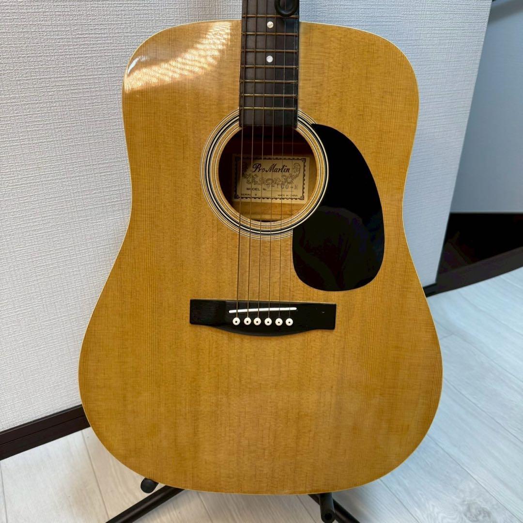 Pro Martin アコースティックギター ギターケース付き Pro Martin