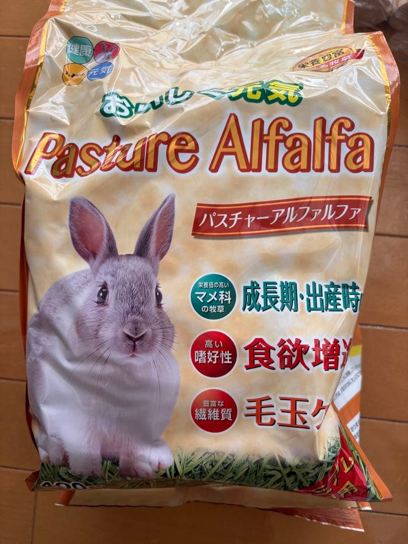 愛するデグーにハンモックを作ってあげよう！DIYのポイントとは？ エア