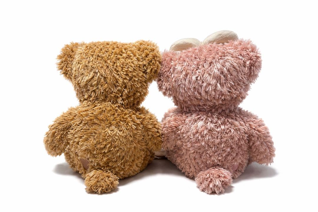 【初売りセール】Disney ダッフィ、シェリーメイM