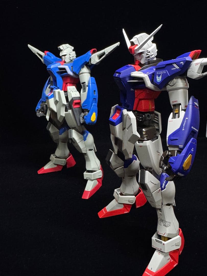 ゆ*】様 【ミキシング全塗装】MG デスティニーガンダム SpecⅡ