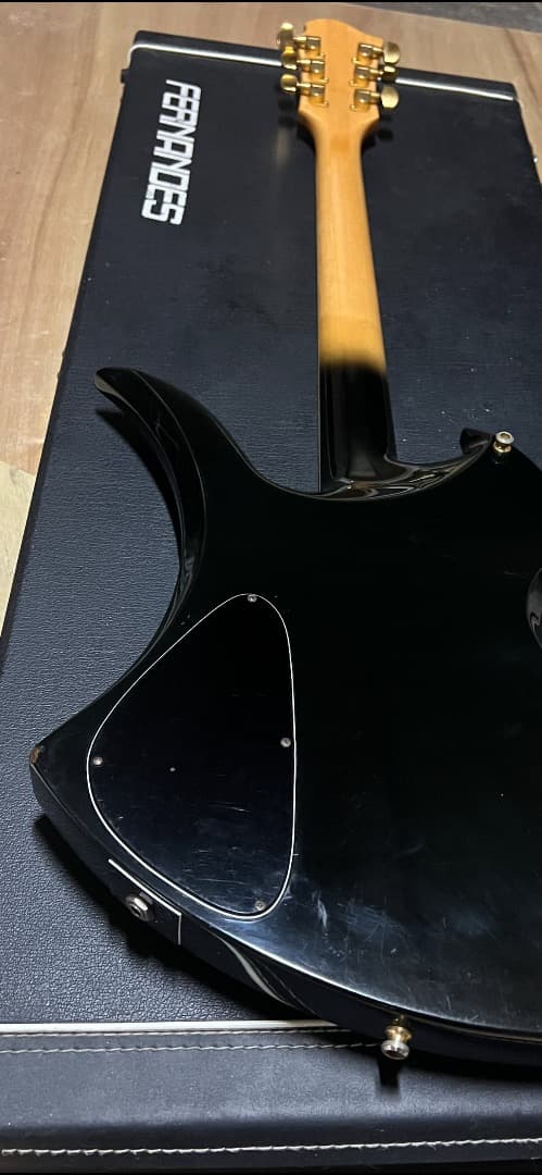 burny HIDEモデルMG280X FERNANDES