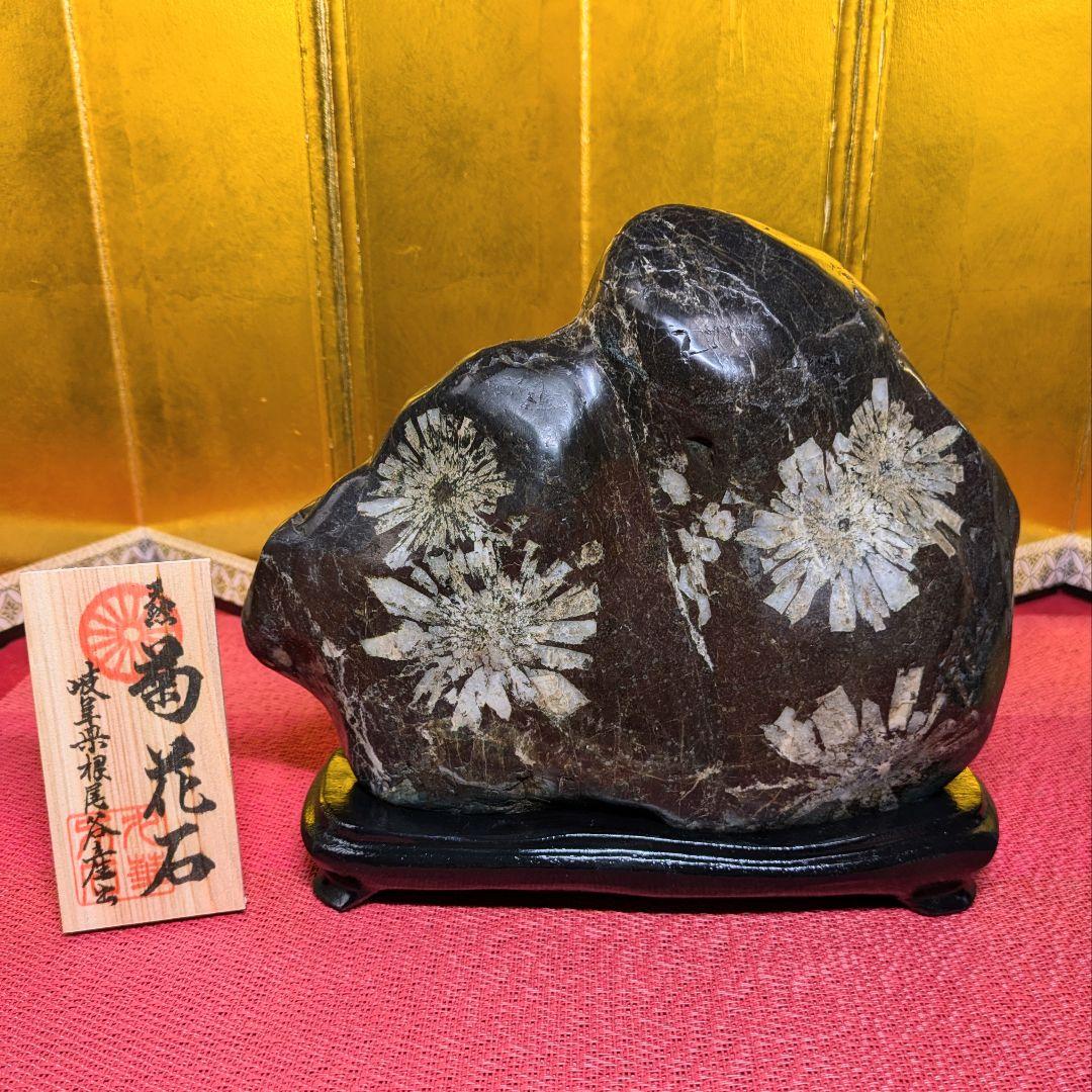 菊花石 岐阜県根尾谷産9-2㌔ 鑑賞石 観賞石 水石 盆石 天然石 鉱物