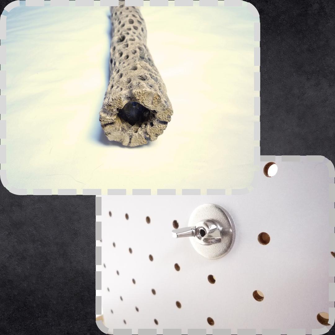 鳥用品 止まり木 カクタス スケルトン パーチ 特大No.217