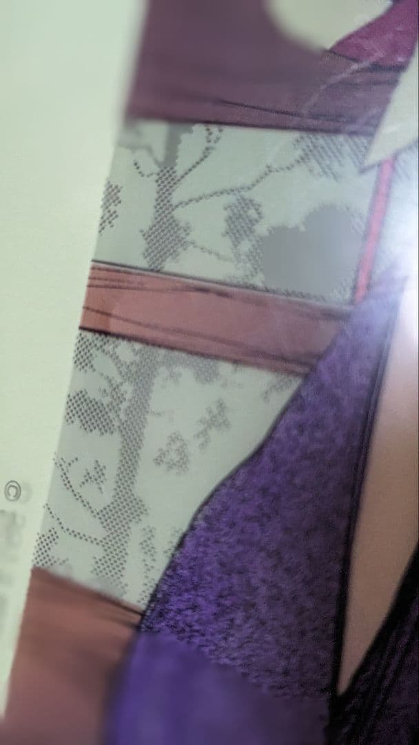 文スト 文豪ストレイドッグス 一葉記念館コラボクリアファイル 樋口