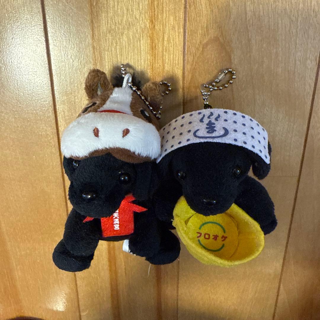 さだまさしグッズ 詩之介 黒い犬のぬいぐるみ2体セット - メルカリ