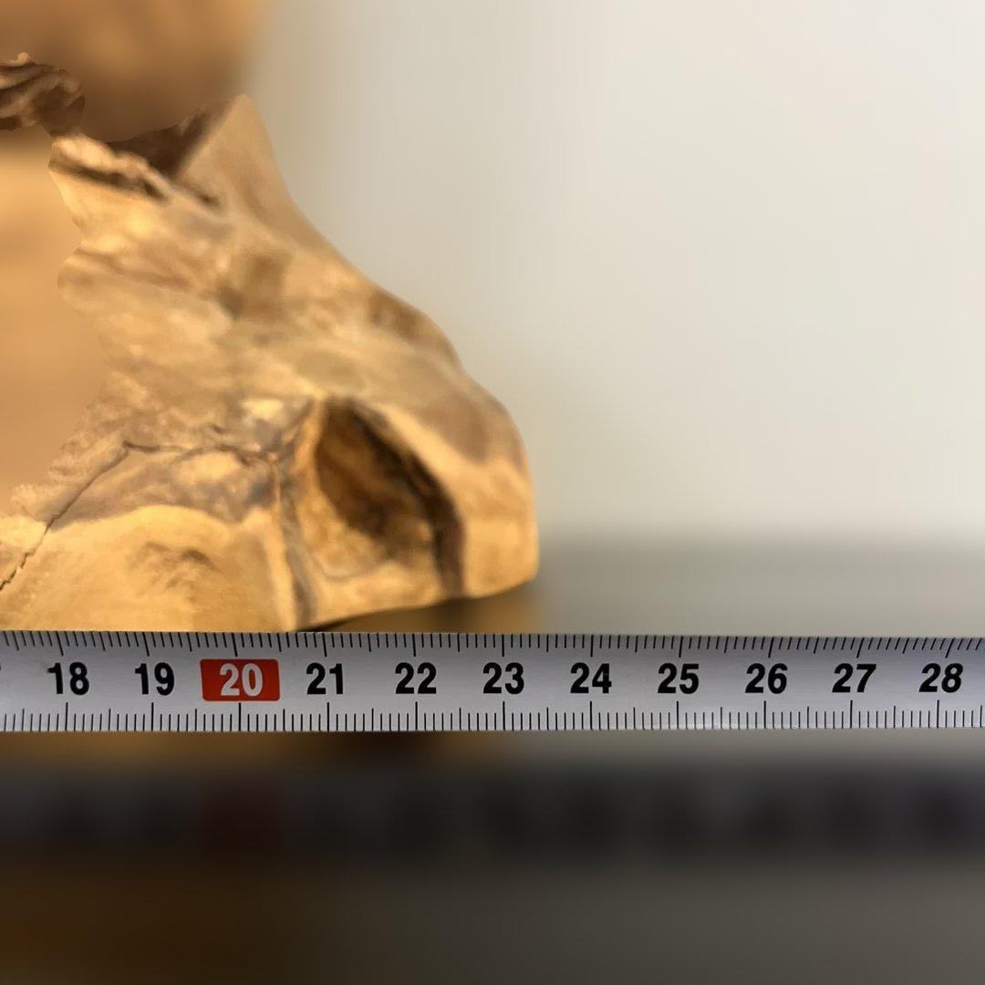 フクロウ 手彫り 在銘 上西捷敏 木彫り 工芸品 彫刻 コレクション 送料