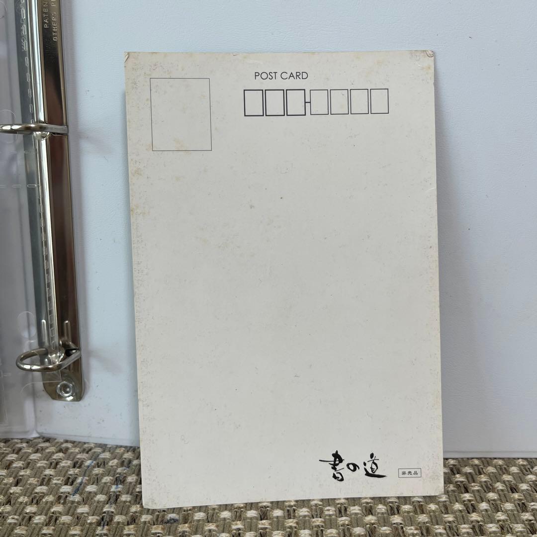 【激レア】書の道俳優直筆サイン入り☆トレカ専用バインダー＋パンフなどセット