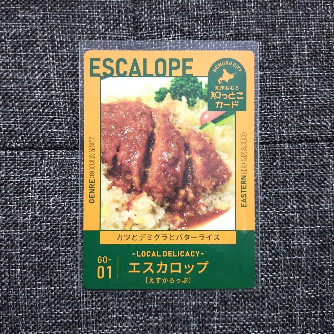 鮭の聖地メナシカード/知床ねむろ知っとこカード/いぶりの縄文カード 計11枚