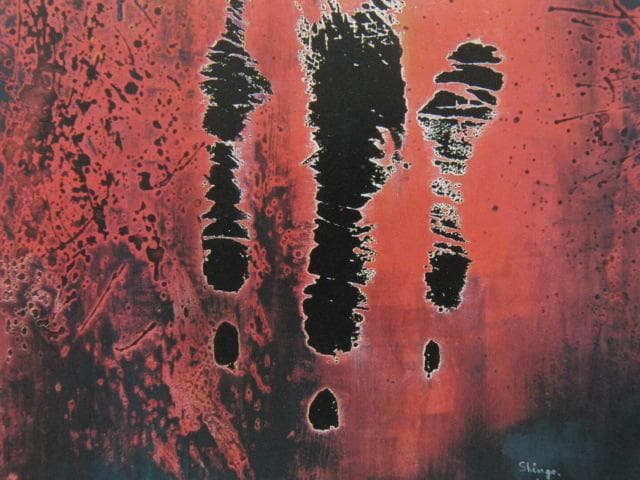 星野真吾、【我果】、希少な額装用画集より、新品額装付、状態良好