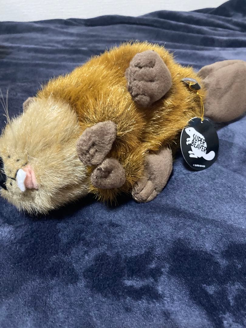 SUPER BEAVER ぬいぐるみ スーパービーバーちゃん - メルカリ