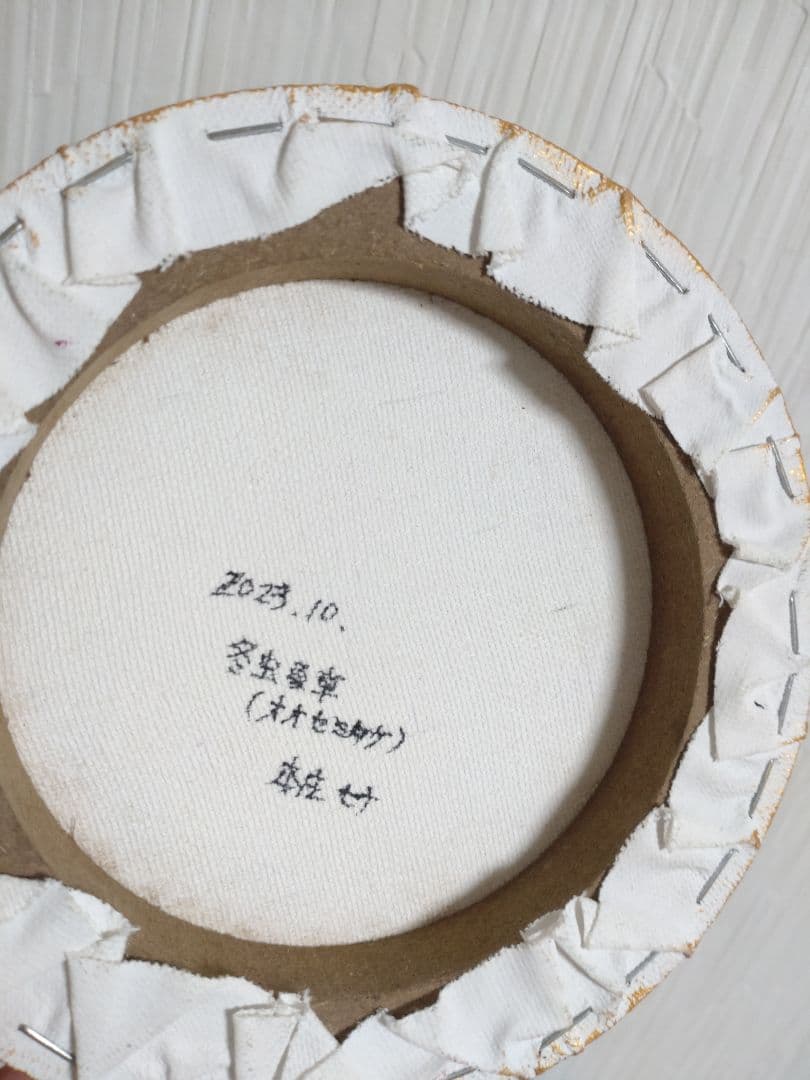 冬虫夏草の油絵【オオセミタケ】1点物の絵画◆作者サイン入り/円型キャンバス