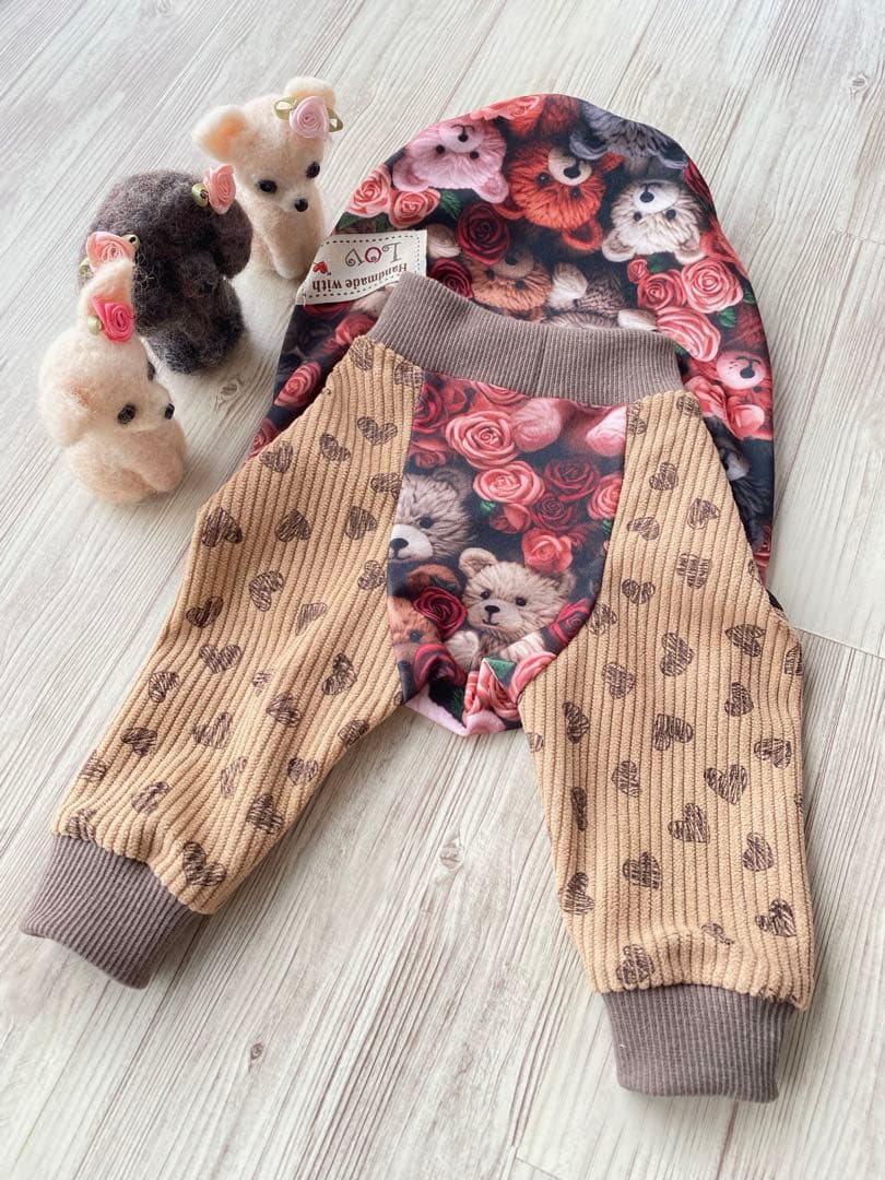 犬服 ラグラン(M) ꒡̈⃝Lily꒡̈⃝ハンドメイド 在庫処分品