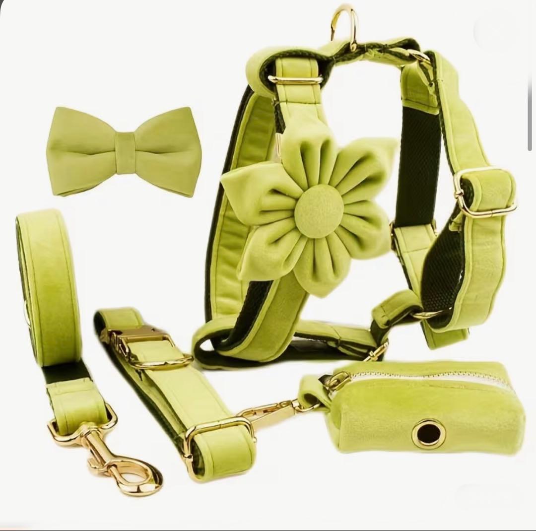 オーダー 名前 ネイム 首輪 ピンクブラウン リード ハーネスセット