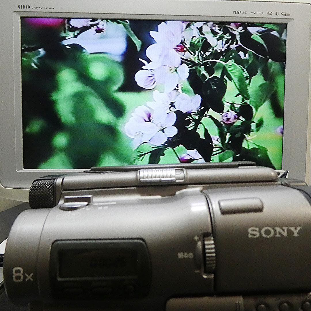 動作良好 ソニーVideoHi8 CCD-TR1 8ミリビデオ　DVD化に最適