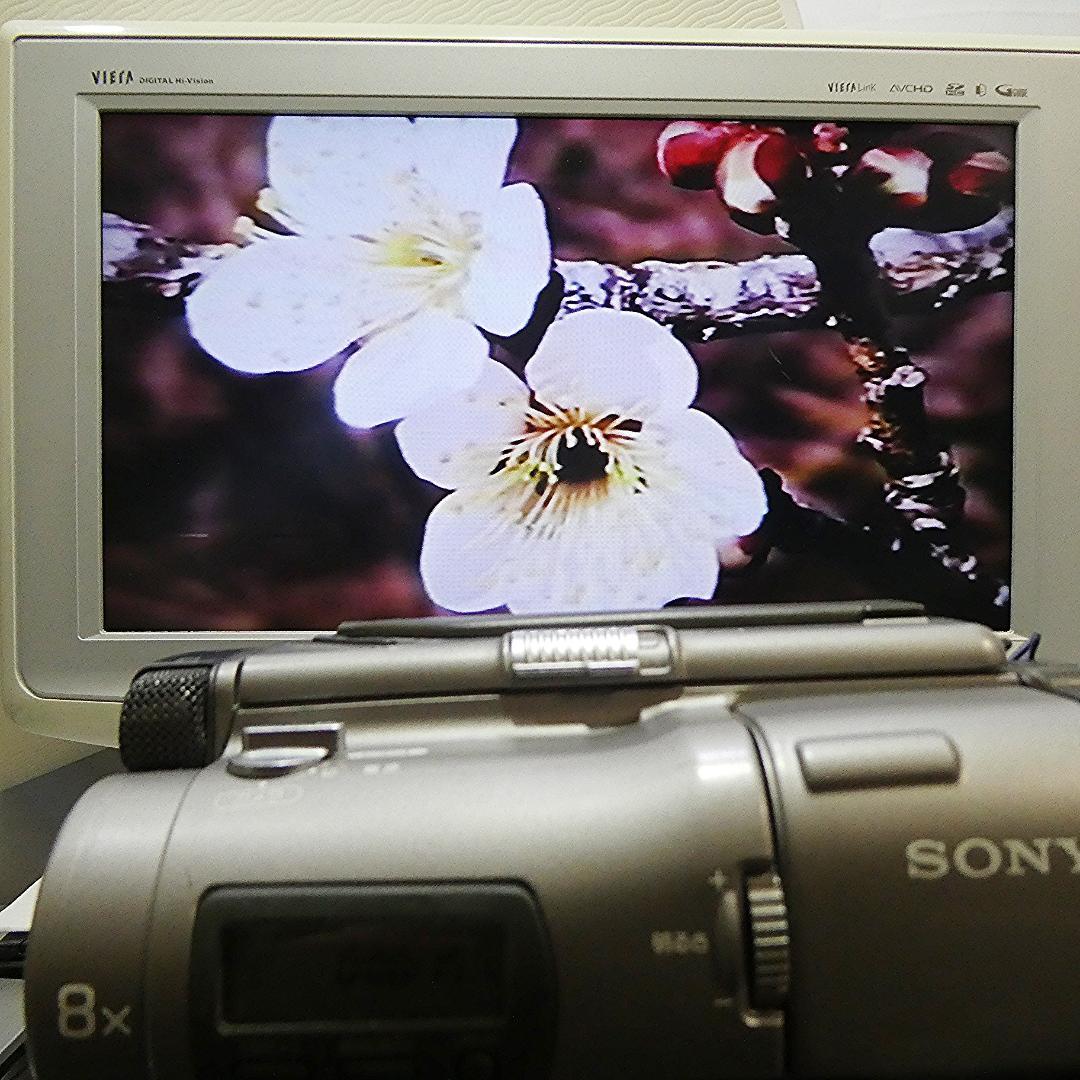 動作良好 ソニーVideoHi8 CCD-TR1 8ミリビデオ　DVD化に最適