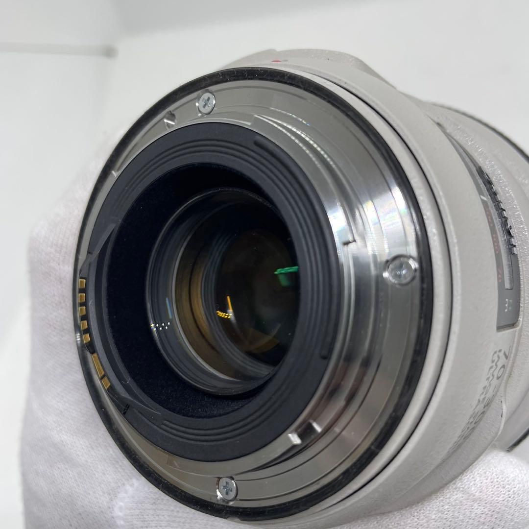 c*o様 Canon EF 70-300mm f/4-5.6 L IS USM
