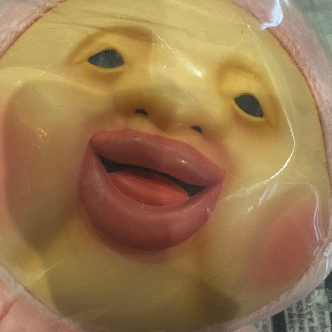 こびとづかん　一番くじ　A賞　ぬいぐるみ　カクレモモジリ