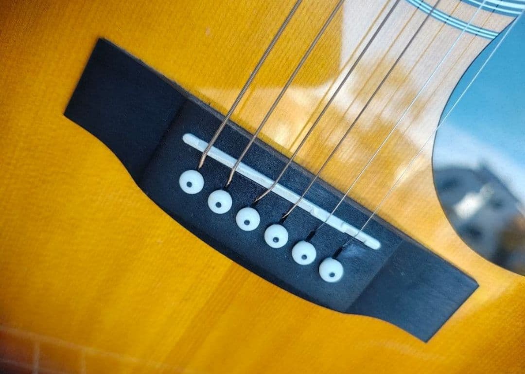 初心者に超オススメ！ 美品 DVD付き SEPIA CRUE FG-10 VS