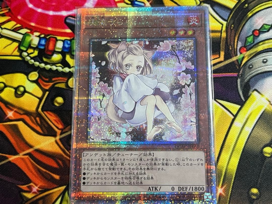 灰流うらら 25thシク 絵違い QCAC-JP050