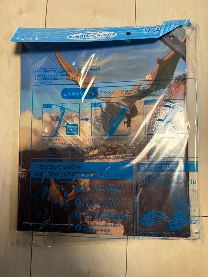 色違いのリザードン ファイル 7個セット