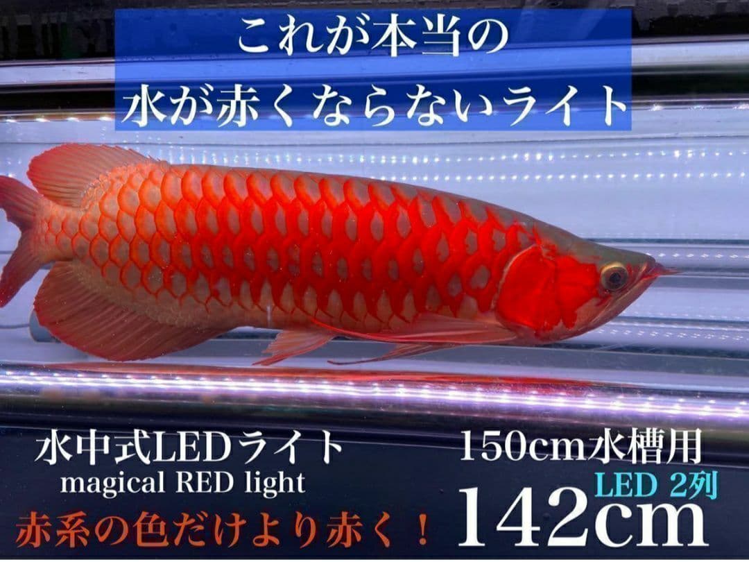 マジカルレッドライト 150cm用 水中ライト 水槽 紅龍 LED