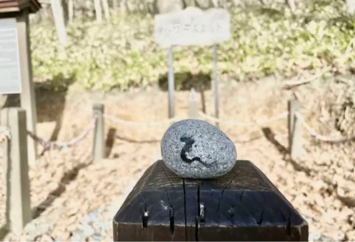 虻田神社♡北海道 洞爺 白蛇 最強パワースポット 龍の道 御朱印帳 火水