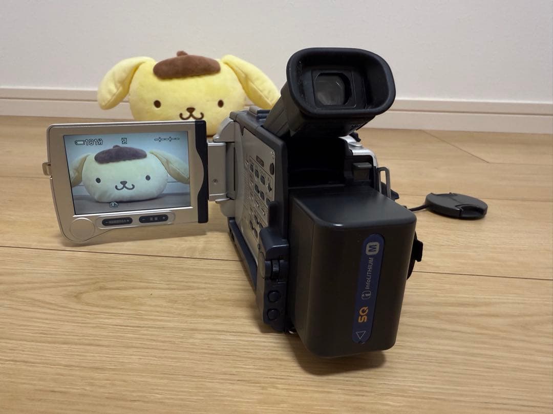 SONY DCR-TRV30 miniDV ハンディカム