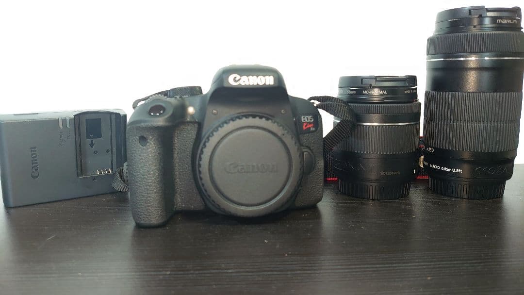 Canon デジタル一眼レフカメラ レンズ2本セット