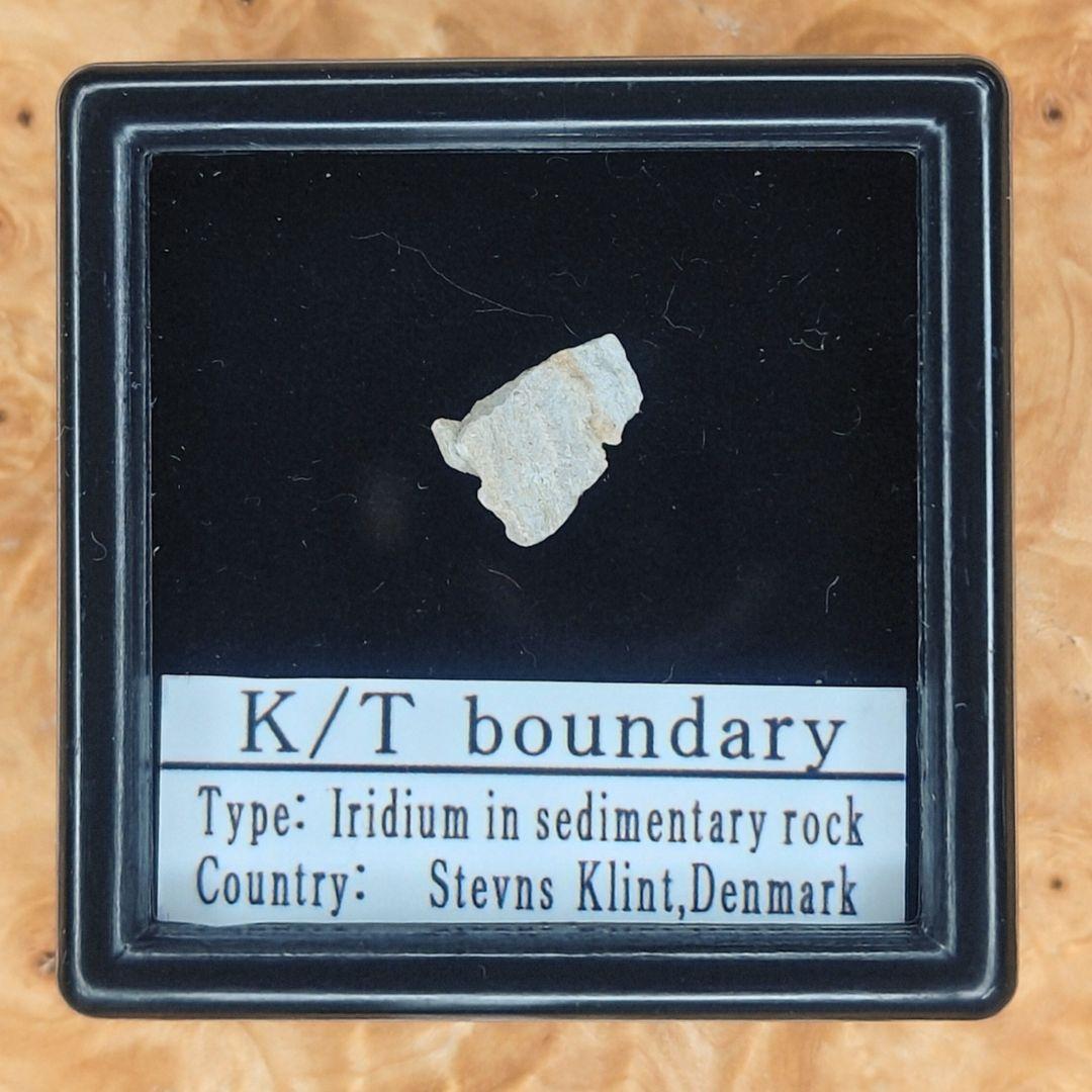入手不可！小惑星のかけら K-T境界層（K/Pg境界頁岩）標本