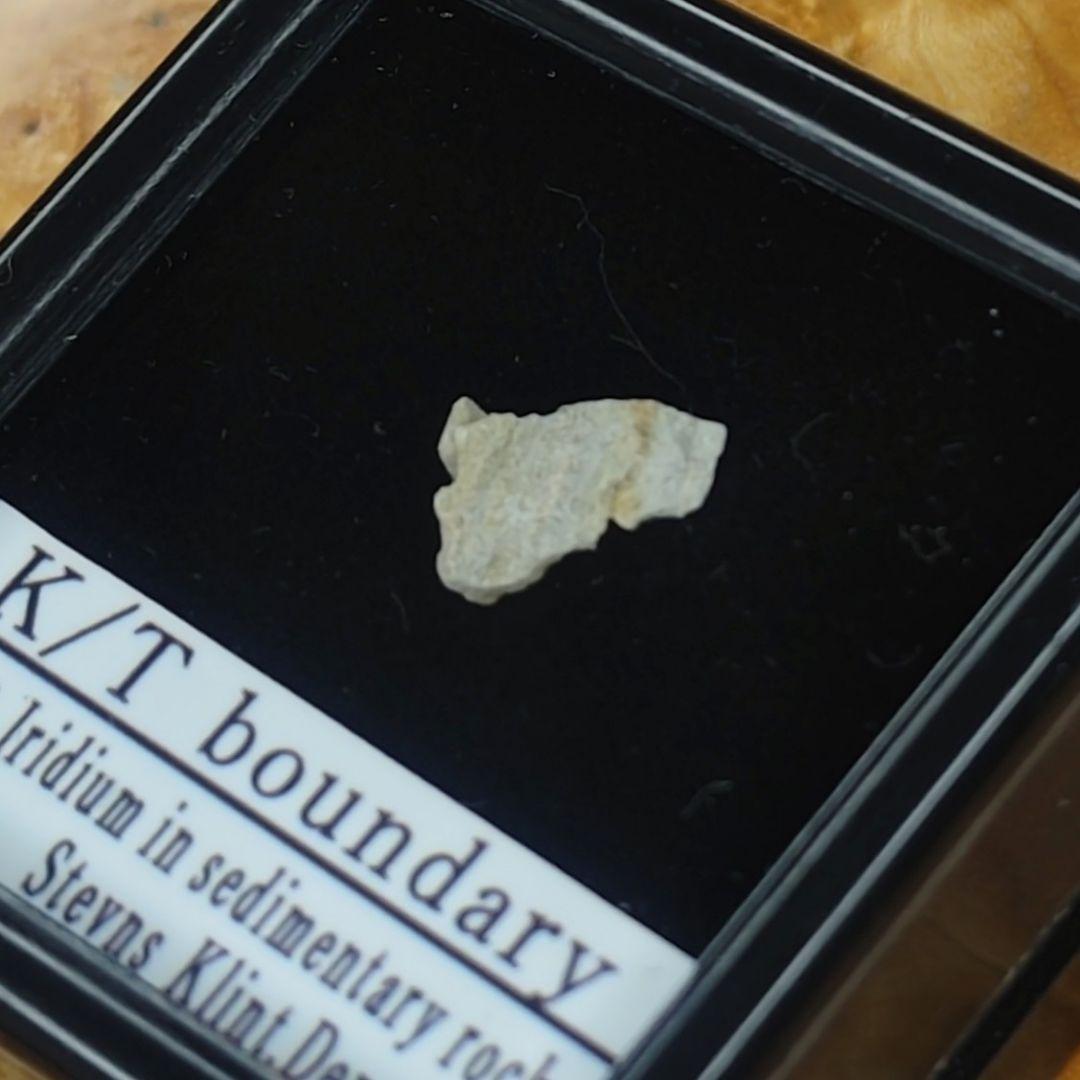 入手不可！小惑星のかけら K-T境界層（K/Pg境界頁岩）標本