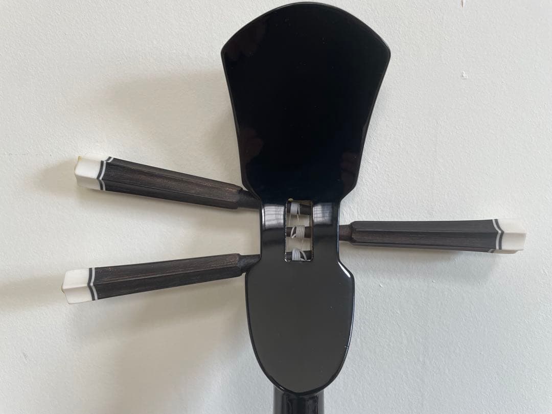 本蛇革】三線&入門本2冊