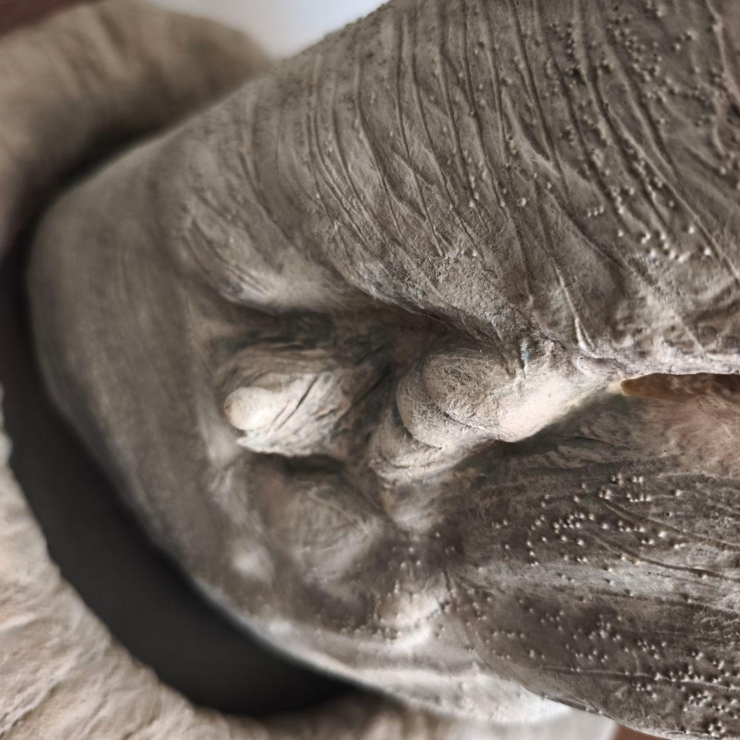 スターウォーズエピソード5帝国の逆襲　エクソゴース　スペーススラッグ　ファルコン